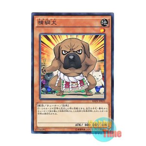 画像: 日本語版 RATE-JP031 Yokotuner 横綱犬 (ノーマル)