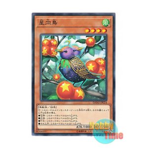 画像: 日本語版 DANE-JP024 Star Staring Starling 星向鳥 (ノーマル)