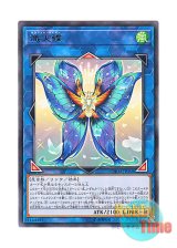 画像: 日本語版 CHIM-JP050 Seraphim Papillion 熾天蝶 (レア)