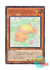 画像: 日本語版 ROTD-JP018 Melffy Catty メルフィー・キャシィ (ノーマル)