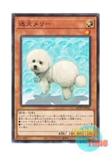 画像: 日本語版 BODE-JP035 Outstanding Dog Mary 迷犬メリー (ノーマル)