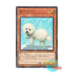 画像: 日本語版 BODE-JP035 Outstanding Dog Mary 迷犬メリー (ノーマル)