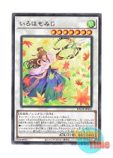 画像: 日本語版 BACH-JP042 Maple Maiden いろはもみじ (ノーマル)