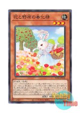 画像: 日本語版 POTE-JP018 Vernusylph of the Flowering Fields 花と野原の春化精 (ノーマル)