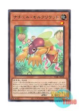 画像: 日本語版 DABL-JP020 Naturia Mole Cricket ナチュル・モルクリケット (レア)