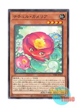 画像: 日本語版 DABL-JP021 Naturia Camellia ナチュル・カメリア (ノーマル)