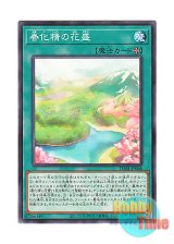 画像: 日本語版 DABL-JP066 Vernusylph in Full Bloom 春化精の花盛 (ノーマル)