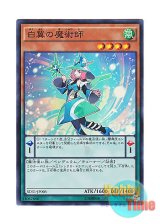 画像: 日本語版 SD31-JP005 White Wing Magician 白翼の魔術師 (スーパーレア)