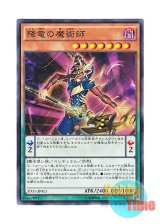 画像: 日本語版 SD31-JP013 Dragoncaller Magician 降竜の魔術師 (ノーマル)