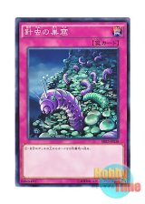 画像: 日本語版 SR02-JP038 Needlebug Nest 針虫の巣窟 (ノーマル)