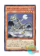 画像: 日本語版 SR04-JP018 Skelesaurus ナチュラル・ボーン・サウルス (ノーマル)