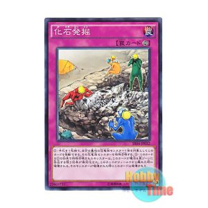 画像: 日本語版 SR04-JP032 Fossil Excavation 化石発掘 (ノーマル)