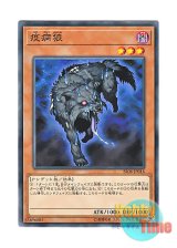 画像: 日本語版 SR06-JP016 Plague Wolf 疫病狼 (ノーマル)