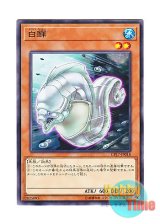 画像: 日本語版 CP17-JP018 White Moray ホワイト・モーレイ (ノーマル)