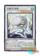 画像: 日本語版 CP17-JP019 White Aura Dolphin 白闘気海豚 (スーパーレア)