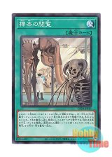 画像: 日本語版 CP20-JP013 Specimen Inspection 標本の閲覧 (ノーマル)