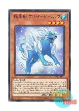 画像: 日本語版 CP20-JP031 Glacial Beast Blizzard Wolf 極氷獣ブリザード・ウルフ (ノーマル)