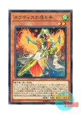 画像: 日本語版 DBHS-JP001 Matriarch of Nephthys ネフティスの悟り手 (ノーマル)