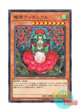 画像: 日本語版 DBSS-JP041 Tytannial, Princess of Camellias 椿姫ティタニアル (ノーマル)