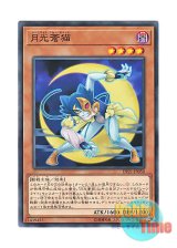 画像: 日本語版 DP21-JP050 Lunalight Blue Cat 月光蒼猫 (ノーマル)