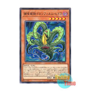 画像: 日本語版 DP22-JP050 Predaplant Drosophyllum Hydra 捕食植物ドロソフィルム・ヒドラ (ノーマル)