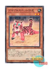 画像: 日本語版 DP27-JP040 Amazoness Baby Tiger アマゾネスペット仔虎 (ノーマル)