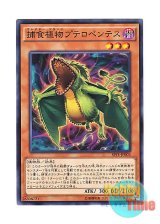 画像: 日本語版 SPFE-JP003 Predaplant Pterapenthes 捕食植物プテロペンテス (ノーマル)