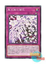 画像: 日本語版 SLT1-JP039 Sunavalon Bloom 聖天樹の開花 (ノーマル)