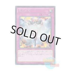 英語版 プレイマット YCS 2013 混沌の黒魔術師