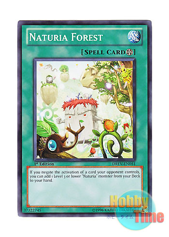 画像1: 英語版 DREV-EN051 Naturia Forest ナチュルの森 (ノーマル) 1st Edition