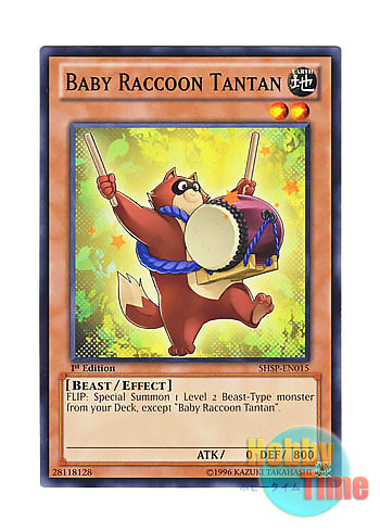 画像1: 英語版 SHSP-EN015 Baby Raccoon Tantan 子狸たんたん (ノーマル) 1st Edition