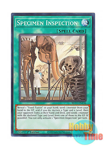 画像1: 英語版 BLC1-EN136 Specimen Inspection 標本の閲覧 (ノーマル) 1st Edition