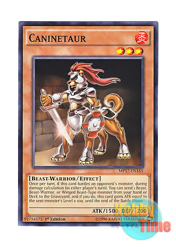 画像1: 英語版 MP17-EN165 Caninetaur 犬タウルス (ノーマル) 1st Edition