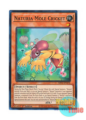 画像1: 英語版 MP23-EN170 Naturia Mole Cricket ナチュル・モルクリケット (スーパーレア) 1st Edition